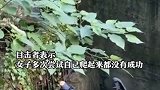 重庆：爱犬追耗子掉下山崖，主人营救时也掉了下去