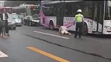大哥我只是想碰瓷而已