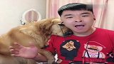 男主唱歌金毛陪在旁边，结果女主来了，有点逗