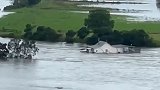 澳大利亚遭洪水侵袭：城镇变泽国、整幢房屋被冲走