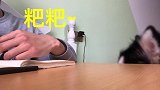 自从家里养了狗狗，再也不能好好工作了