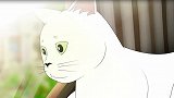 养一只有执念的猫是什么体验？
