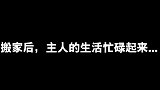 【撸猫指南】养一只有执念的猫是什么体验？