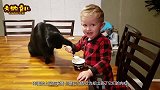 猫咪生气不搭理宝宝，接下来宝宝的举动，一旁的爸妈都笑翻了