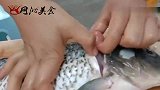 专业师傅教你在家轻松抽鲤鱼草鱼鱼筋，这样做出来的鱼不腥还美味