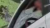 教练车垂直入水塘，学员乖巧地坐在驾驶位一动不敢动