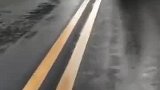 谁不想这样子无忧无虑呢