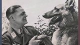 犬文尔内在大仇得报后，由于当时撕咬过猛，突发脑溢血离世，它的一生都在阐释忠诚二字！热门 百盛红包就是要转