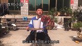 小朋的爬山虎盆景，如今没过几天叶子已经全红，大家觉得怎么样
