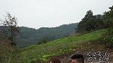 小伙为了筹20万彩礼，选择外出打拼，三年后回来女友却已嫁人