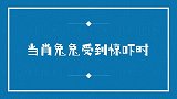 当一只兔兔受到惊吓时，他会有什么样的表现？肖战上号说话！