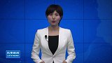 人工珙桐繁育基地迁地保护成功，“植物活化石”珙桐花盛放