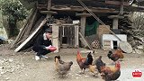 鸡肉这样煮才好吃，学会这个做法，5斤都不够吃