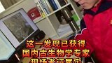 陕西 哇塞！恐龙来啦！安塞油田勘探发现恐龙足迹化石！
