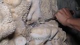 小伙辞掉工作，跑到山上挖宝，一天一颗宝石