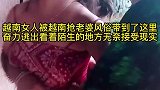 越南有抢老婆的风俗，到了一定年纪就会有小伙上门