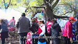 从旅游胜地沦为“空城”，原因仅有这一点，网友：都是自己作的
