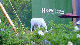 遇到爱情成家的90后，为了迎接新生命，安家了