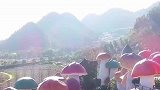 贵州兴义有一个漂亮的蘑菇城，里面还有大家最爱的“大鸡枞”