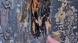200年前的大门，据说堪比故宫的防盗门