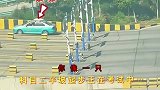 美女前三次都挂半坡，第四次终于考过