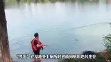 成都一11个月大的搜救犬“黑崽”被盗杀，救援队：曾参与多次救援