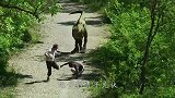 男子用仿真恐龙恶搞路人，路人当场被吓瘫，慌不择路跳进河中 ！