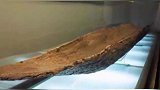 在跨湖桥遗址中发现7500年前的独木舟，专家研究后发现和《山海经》中记载的神船一模一样，这难道是巧合？山海经
