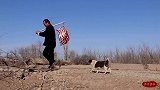 460买块牛排骨，食叔请朋友吃“可乐牛排”，香气四溢，真过瘾