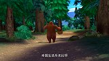 熊出没：肥波差点吃了小燕子，被熊大发现，带回熊洞了