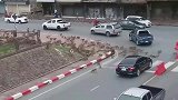 泰国两大群猴子在街头火拼，交通被迫中断，场面颇为壮观