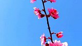 想带你去看晴空万里，你是否愿意？