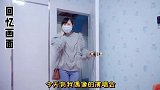 小猫咪淘气拆家，竟然是为了引起主人的注意