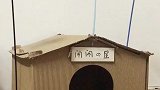 第一届喵星杯开赛了，闹闹才是隐藏已久的球星
