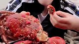家里有矿海鲜蟹任性吃