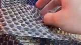 长这么大第一次见蟒蛇蜕皮，还能人工辅助，听声音像塑料纸