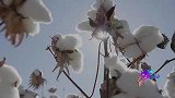 燃青年舞心飞翔