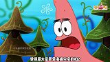 海绵宝宝和派大星谁更爱谁，终于有结论了，造孽啊