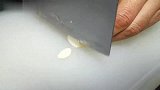 做个家里的人都常吃的醋溜大白菜！