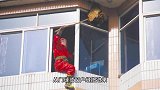窗户关严马蜂怎么飞进来的