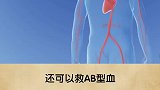 有趣冷知识