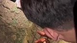 秋天到了，和朋友们一起烤红薯吧