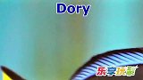 乐享动物乐园带你认识绿海龟与多足章鱼