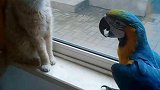 猫：心情不好，你不要来招惹我！