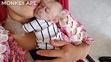 小猴子太亲近人了，睡觉都这样抱着妈妈的脖子，真会找地儿