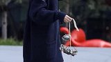 现在螃蟹很受欢迎吗，我怕看完后螃蟹又要涨价了