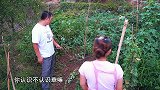 一只鸭子6斤重，桃子姐做啤酒鸭，香气四溢，一家人吃得津津有味