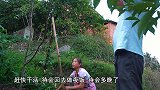 一只鸭子6斤重，桃子姐做啤酒鸭，香气四溢，一家人吃得津津有味