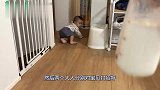 一边是妈妈一边是拿着奶瓶的爸爸，小宝宝会如何抉择呢好玩了