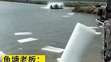 水温高达45度导致黑鱼苗伤亡，鱼塘老板豪买100块冰给鱼苗降温